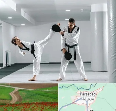 باشگاه رزمی در پارس آباد