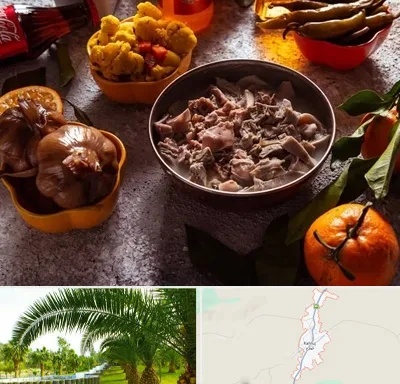 طباخی در کهنوج