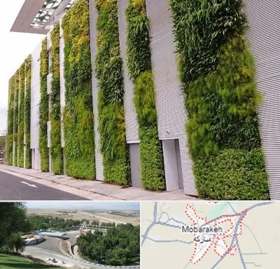 دیوار سبز در مبارکه