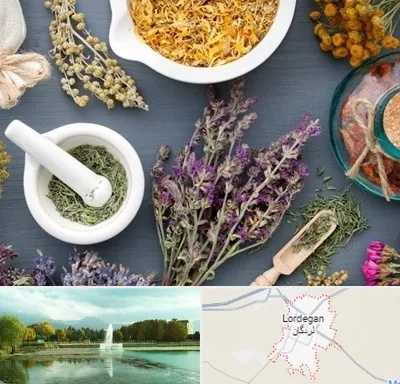 سم زدایی در لردگان