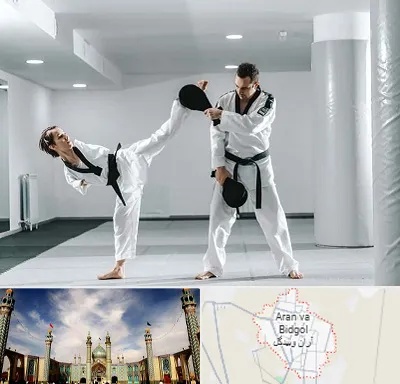 باشگاه رزمی در آران و بیدگل
