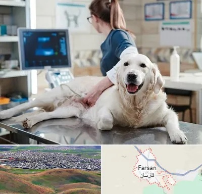 سونوگرافی حیوانات در فارسان