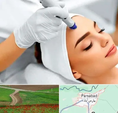 آموزش مزوتراپی در پارس آباد