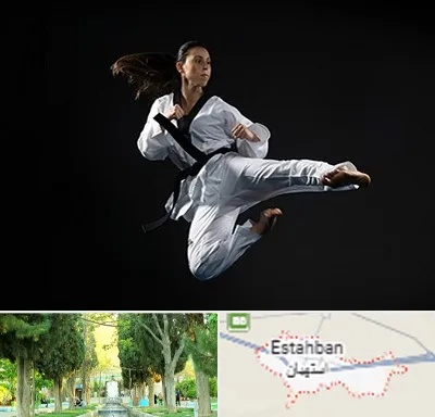 مربی رزمی خانم در استهبان