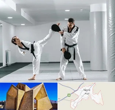 باشگاه رزمی در نی ریز