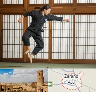 باشگاه نینجا در زرند