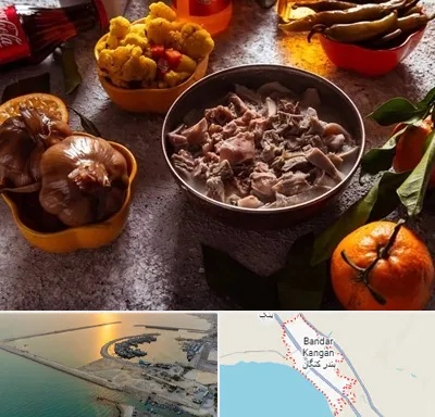 طباخی در بندر کنگان
