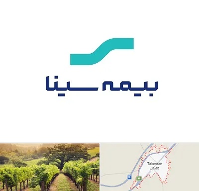 بیمه سینا در تاکستان