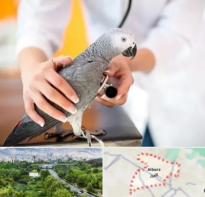 دامپزشکی پرندگان در البرز