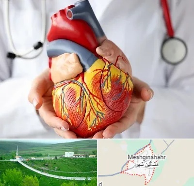 دکتر متخصص قلب و عروق در مشگین شهر