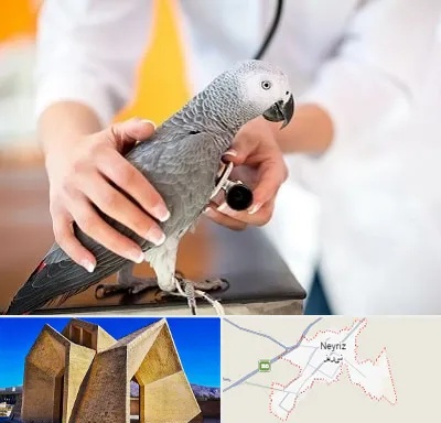 دامپزشکی پرندگان در نی ریز