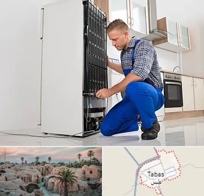 تعمیرکار سیار یخچال در طبس