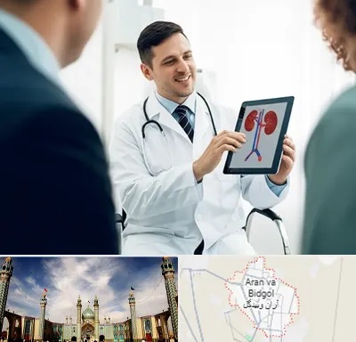 دکتر فوق تخصص سنگ کلیه در آران و بیدگل