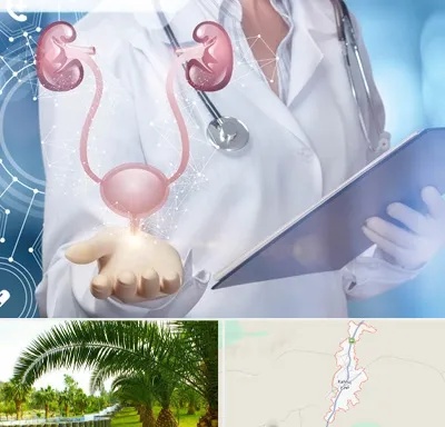 متخصص اورولوژی خانم در کهنوج