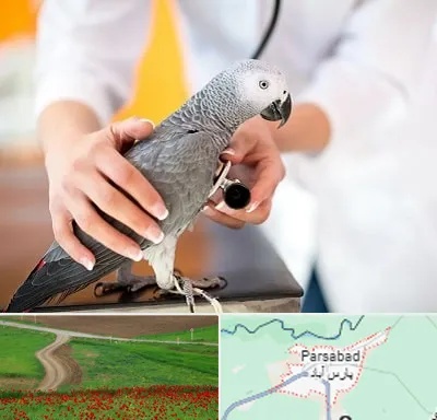 دامپزشکی پرندگان در پارس آباد