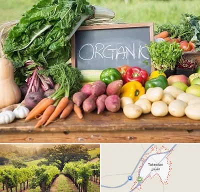 فروشگاه محصولات ارگانیک در تاکستان