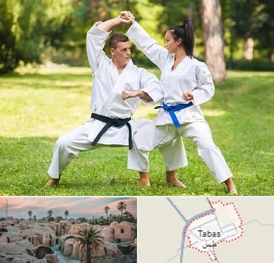 باشگاه هاپکیدو در طبس