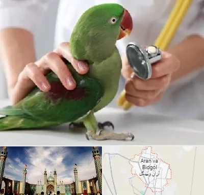 درمانگاه شبانه روزی پرندگان در آران و بیدگل