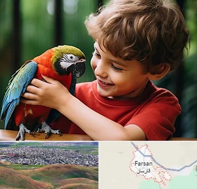 پانسیون پرندگان در فارسان