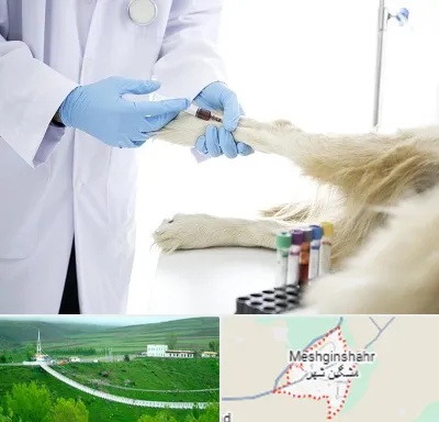 آزمایشگاه حیوانات در مشگین شهر