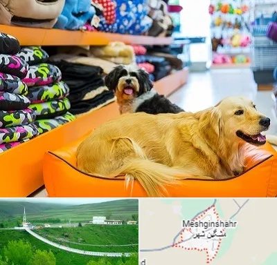 پت شاپ عمده در مشگین شهر