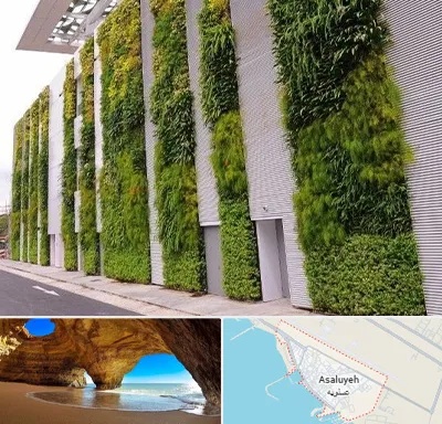 دیوار سبز در عسلویه