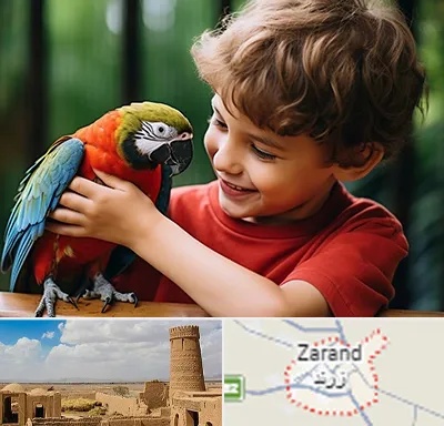 پانسیون پرندگان در زرند