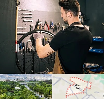 تعمیرکار دوچرخه در البرز
