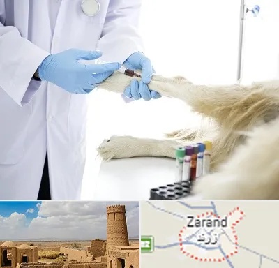 آزمایشگاه حیوانات در زرند