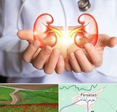 دکتر اورولوژی کودکان در پارس آباد