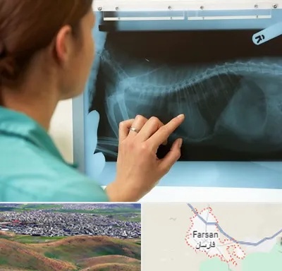 رادیولوژی پرندگان در فارسان