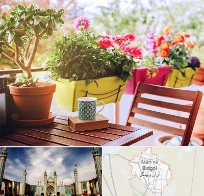 گیاه آپارتمانی در آران و بیدگل