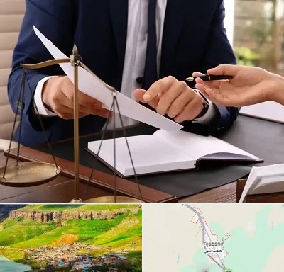 وکیل با تجربه در عجب شیر