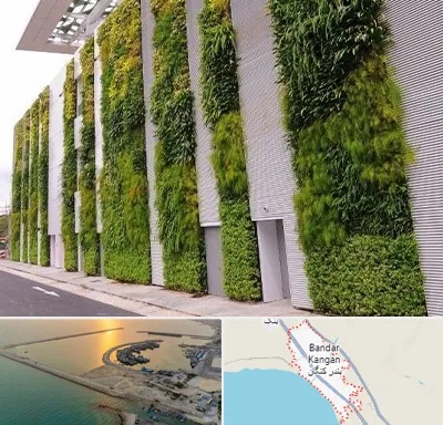دیوار سبز در بندر کنگان