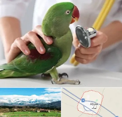 درمانگاه شبانه روزی پرندگان در آبیک