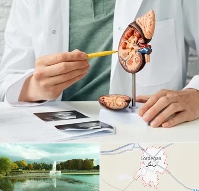 دکتر اورولوژیست در لردگان