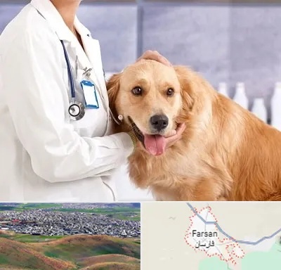 کلینیک دامپزشکی شبانه روزی در فارسان