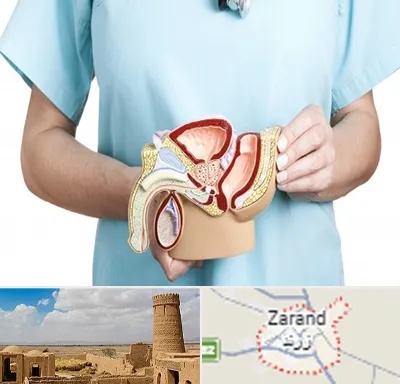 فوق تخصص دستگاه تناسلی مردان در زرند