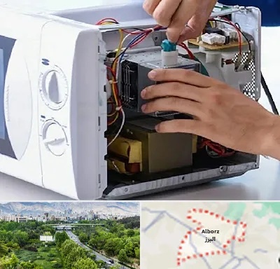 قطعات مایکروفر در البرز