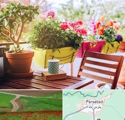 گیاه آپارتمانی در پارس آباد