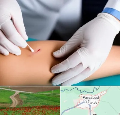 متخصص زخم عفونی در پارس آباد