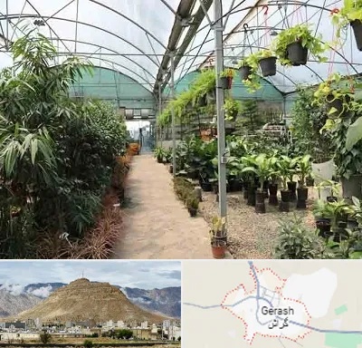 مرکز فروش گل و گیاه در گراش