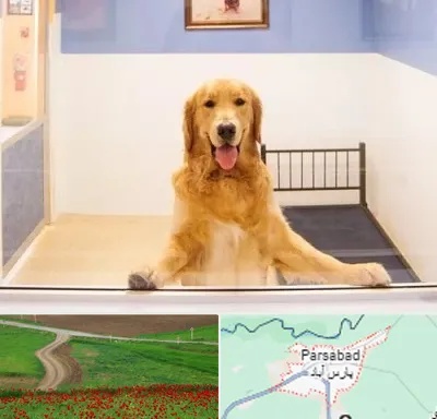 پانسیون حیوان خانگی در پارس آباد