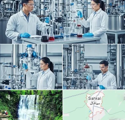 صنایع شیمیایی در سیاهکل