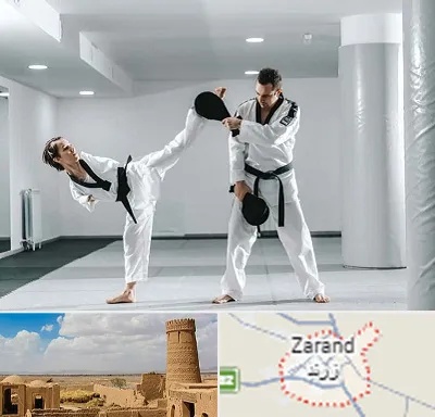 باشگاه رزمی در زرند