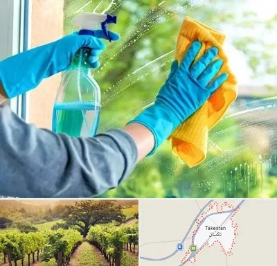 نظافتچی خانم در تاکستان