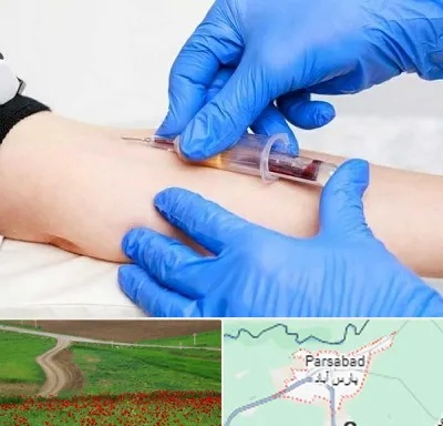 آزمایشگاه ازدواج در پارس آباد