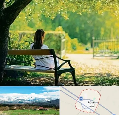 پارک بانوان در آبیک