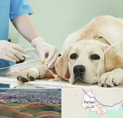 دامپزشک جراح در فارسان