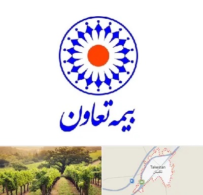 بیمه تعاون در تاکستان